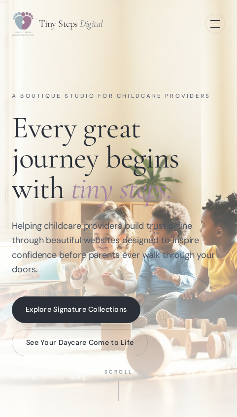 Standard Website preview